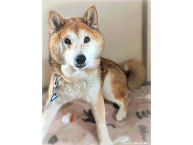 棗真ちゃん