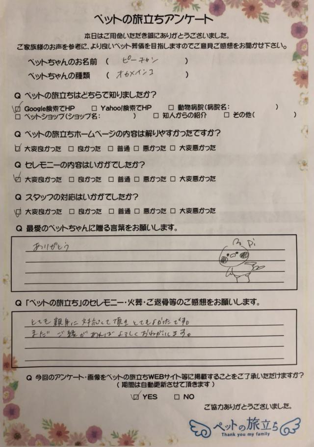 ピーちゃん とても親身に対応 ペット火葬