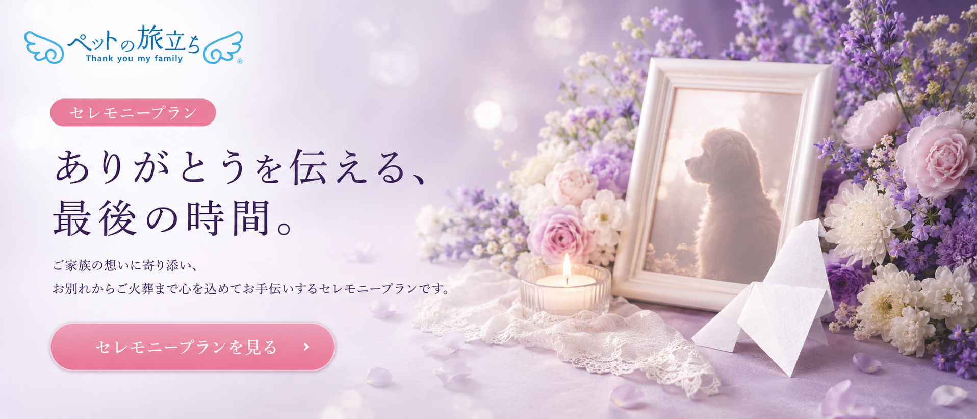 セレモニープラン