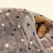 【獣医師監修】老犬が起きない、ご飯も食べないでずっと寝てばかり！飼い主がとるべき行動は？